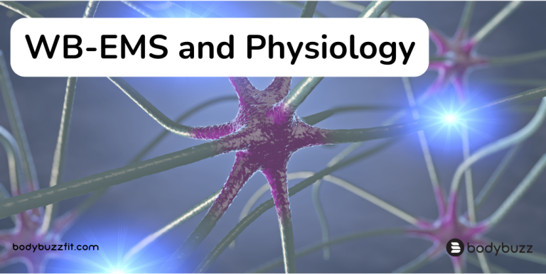 WB-EMS and Physiology